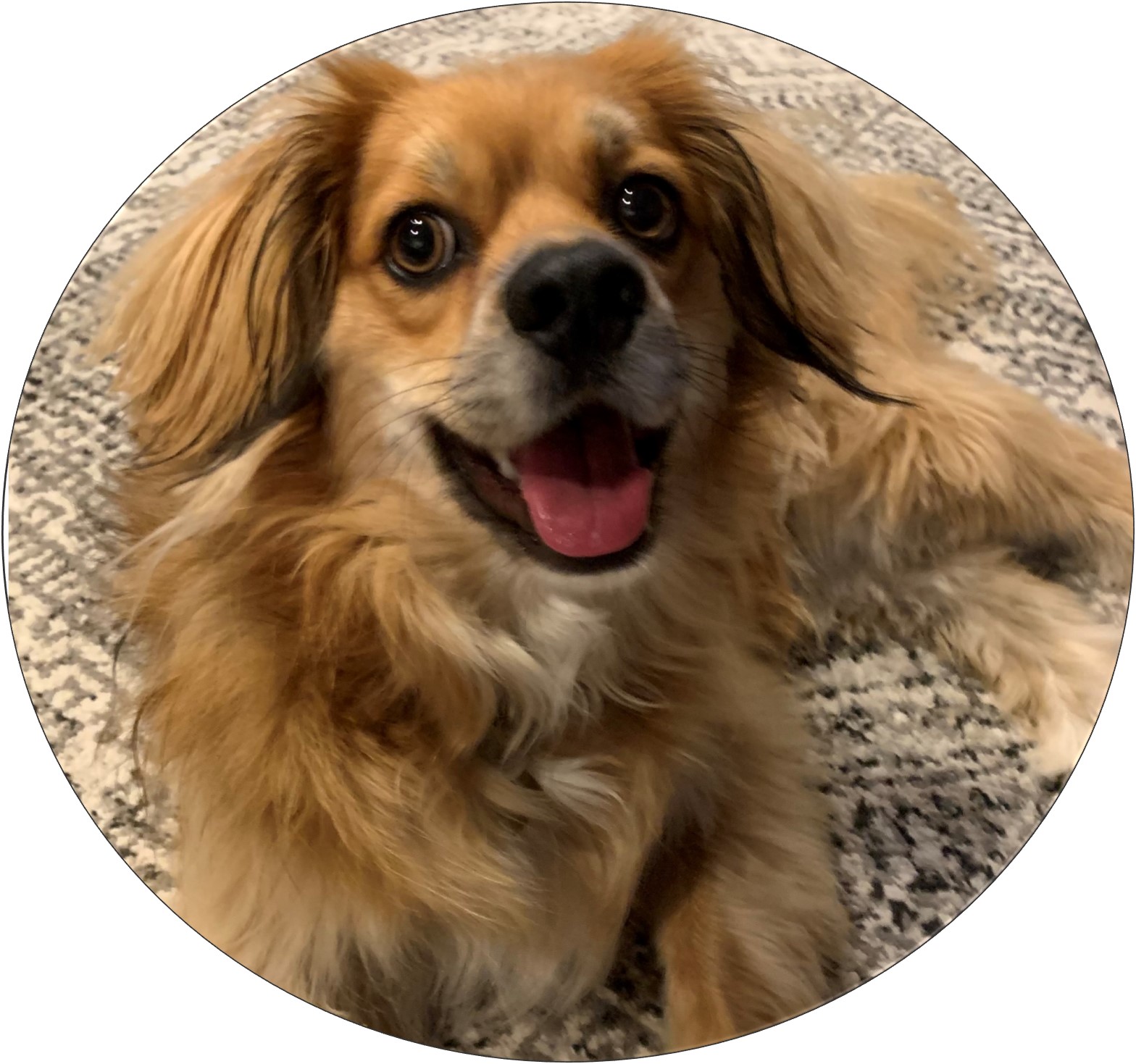 Leo, Head of Borking Activities